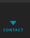Contact VSG